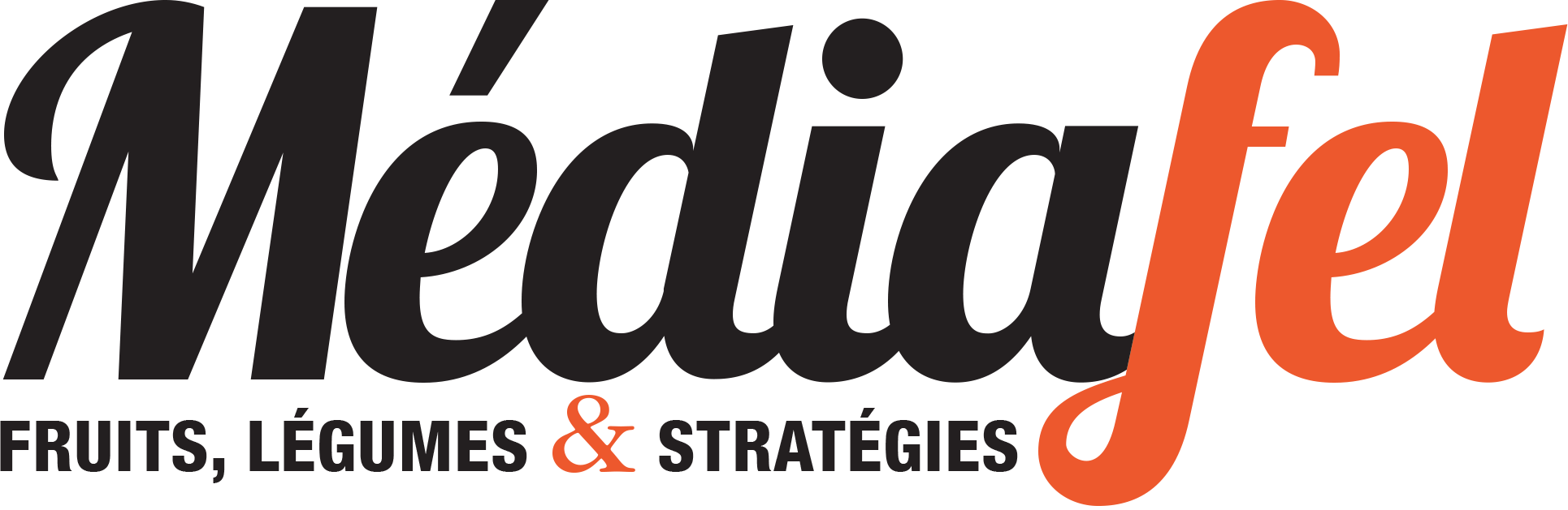 Logo de mediafel
